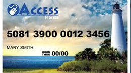 ebt card information access