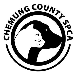 Chemung County DSS