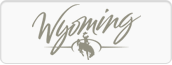 Wyoming Department of Family Services - Evanston